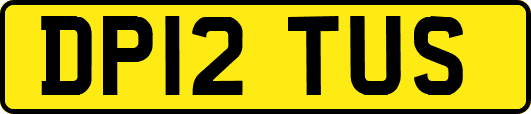 DP12TUS