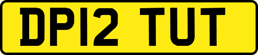 DP12TUT