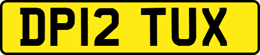 DP12TUX