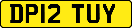 DP12TUY