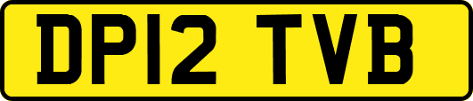 DP12TVB