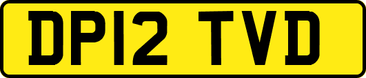 DP12TVD