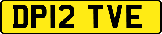 DP12TVE