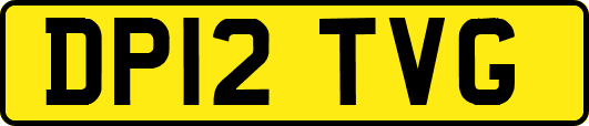 DP12TVG