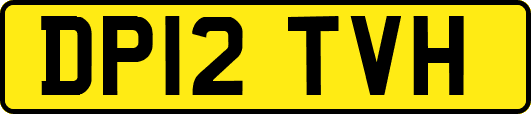 DP12TVH