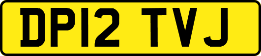DP12TVJ