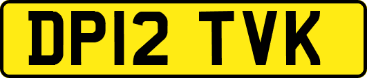DP12TVK