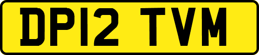 DP12TVM