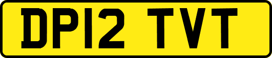 DP12TVT