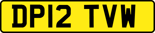 DP12TVW