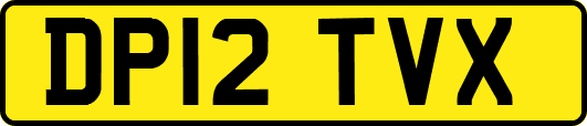 DP12TVX