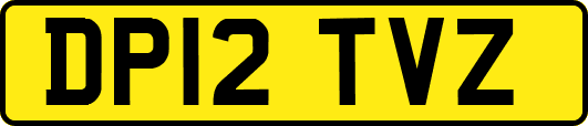DP12TVZ