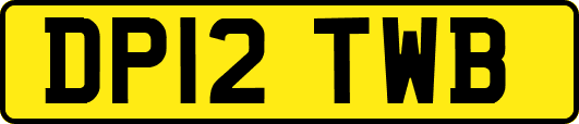 DP12TWB