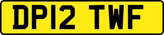 DP12TWF