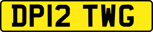 DP12TWG