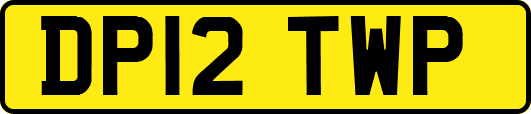 DP12TWP