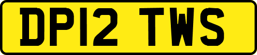 DP12TWS