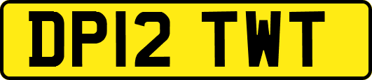 DP12TWT