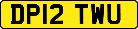 DP12TWU