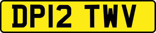 DP12TWV