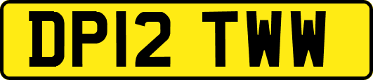 DP12TWW
