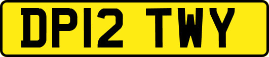 DP12TWY