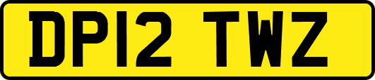 DP12TWZ
