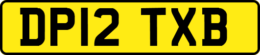 DP12TXB