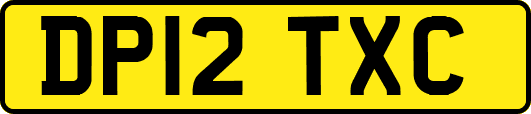 DP12TXC