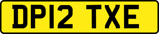 DP12TXE