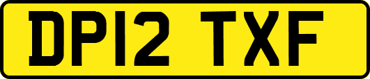 DP12TXF
