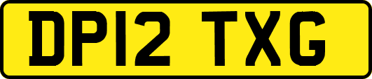 DP12TXG