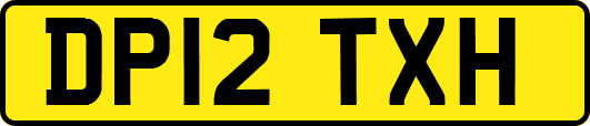 DP12TXH