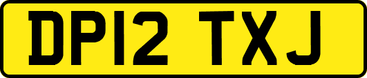 DP12TXJ