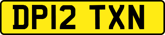 DP12TXN