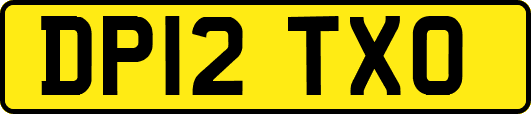 DP12TXO
