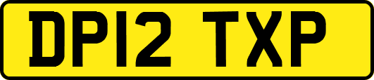 DP12TXP