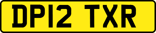DP12TXR