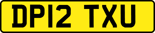 DP12TXU
