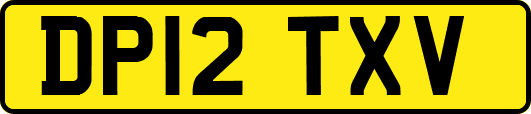 DP12TXV