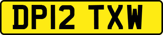 DP12TXW