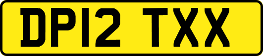 DP12TXX