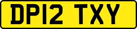 DP12TXY