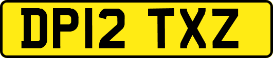DP12TXZ