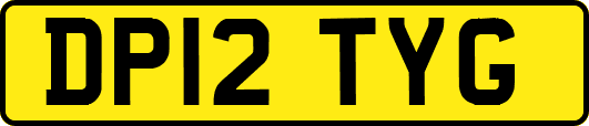 DP12TYG