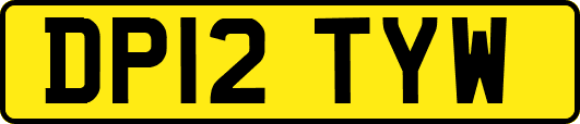 DP12TYW