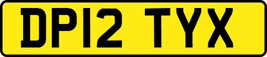 DP12TYX