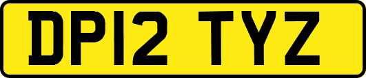 DP12TYZ