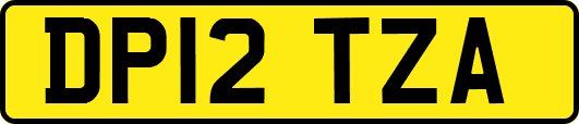 DP12TZA