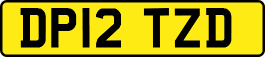 DP12TZD
